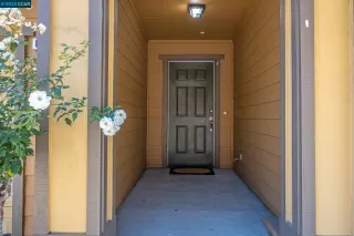 Photo #1: 41006084 Listing