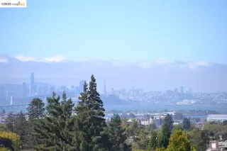 Photo #3: 41007065 Listing 