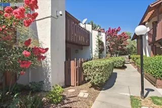 Photo #3: 41008039 Listing 