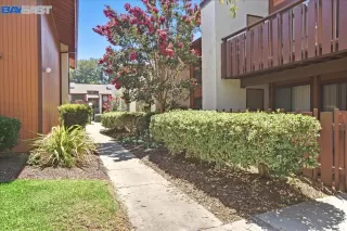 Photo #5: 41008039 Listing 