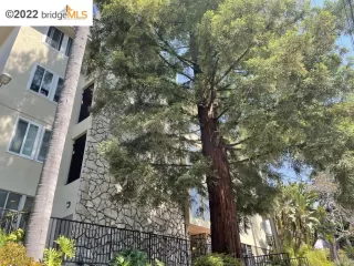 Photo #1: 41008428 Listing 