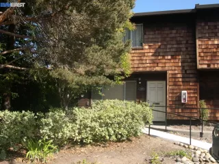 Photo #1: 41008857 Listing