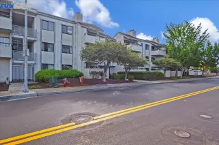 Photo #1: 41009126 Listing