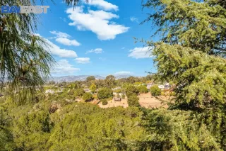 Photo #4: 41010058 Listing