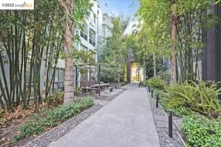 Photo #1: 41010115 Listing