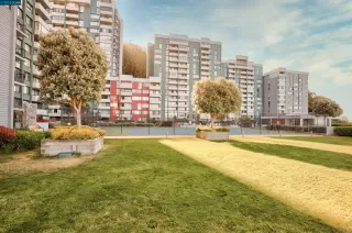 Photo #4: 41010555 Listing 