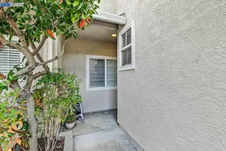 Photo #2: 41012486 Listing