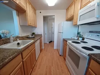 Photo #1: 41012551 Listing