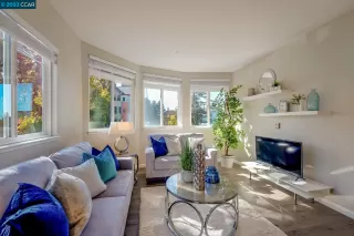 Photo #1: 41012877 Listing