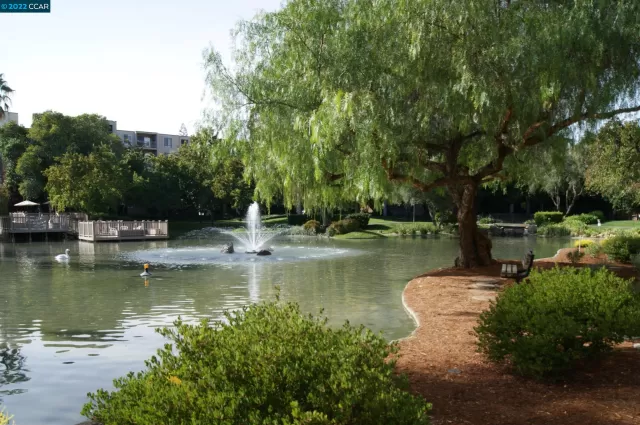 MLS: 41012930 Condo For Sale