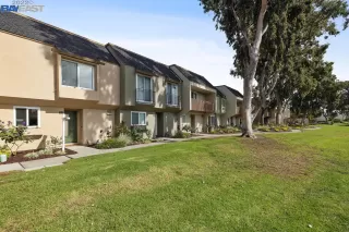 Photo #1: 41012980 Listing 