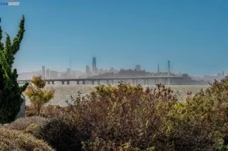 Photo #5: 41013379 Listing