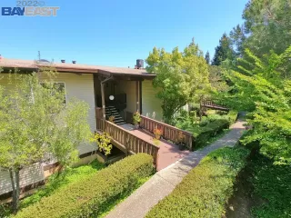 Photo #2: 41013889 Listing 