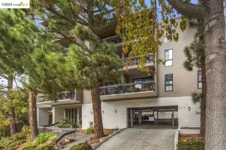 Photo #1: 41014202 Listing 