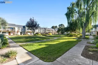 Photo #4: 41015043 Listing 