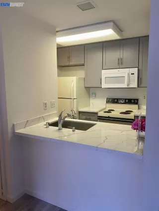 Photo #5: 41015164 Listing