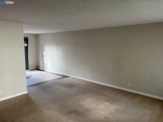 Photo #1: 41015336 Listing 