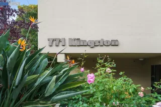 Photo #1: 41015526 Listing 