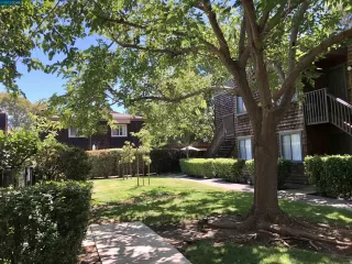 Photo #1: 41015589 Listing