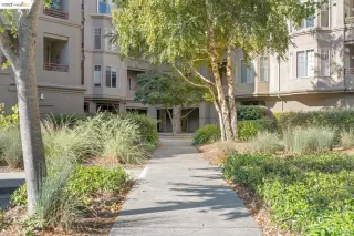 Photo #1: 41015736 Listing 