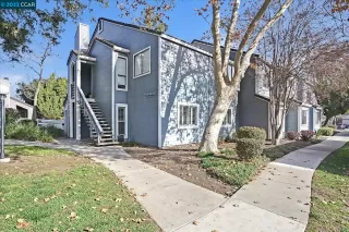 Photo #1: 41016037 Listing