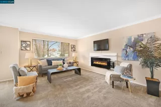 Photo #1: 41016152 Listing 