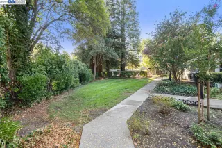 Photo #1: 41016252 Listing 