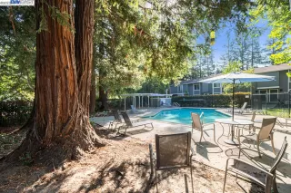 Photo #2: 41016252 Listing 