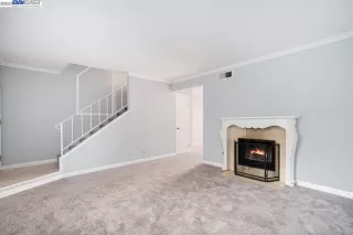 Photo #4: 41016252 Listing 