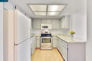 Photo #5: 41016282 Listing