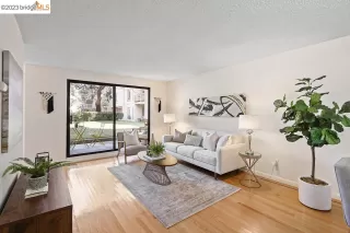 Photo #1: 41016366 Listing 