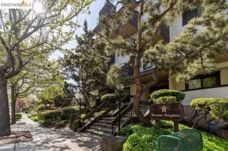 Photo #1: 41016474 Listing 