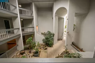 Photo #2: 41016481 Listing