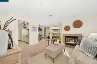 Photo #1: 41016660 Listing