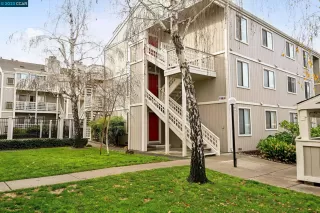 Photo #2: 41016660 Listing