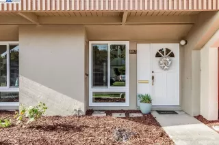 Photo #1: 41016729 Listing 