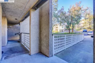 Photo #3: 41016859 Listing 