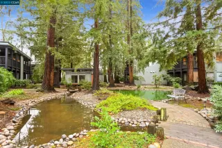 Photo #1: 41016869 Listing