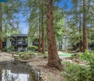 Photo #2: 41016869 Listing