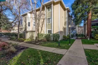 Photo #1: 41016879 Listing