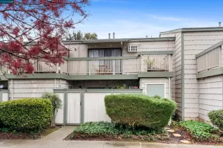 Photo #2: 41016921 Listing