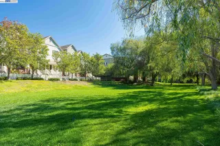 Photo #3: 41017016 Listing