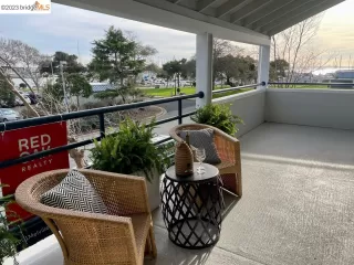 Photo #1: 41017043 Listing 