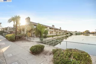 Photo #3: 41017098 Listing