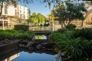 Photo #1: 41017366 Listing 