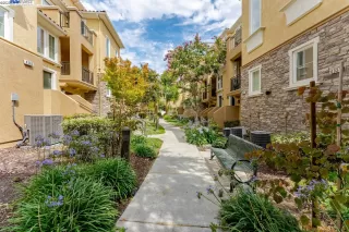 Photo #1: 41017383 Listing 