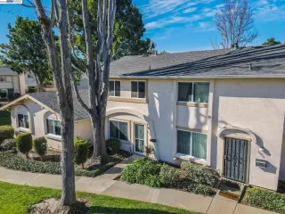 Photo #5: 41017422 Listing