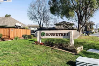 Photo #1: 41017542 Listing 