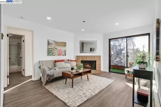 Photo #1: 41017549 Listing