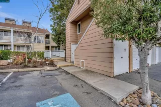 Photo #2: 41017595 Listing 